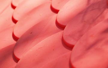 Wyck plastic roof costs